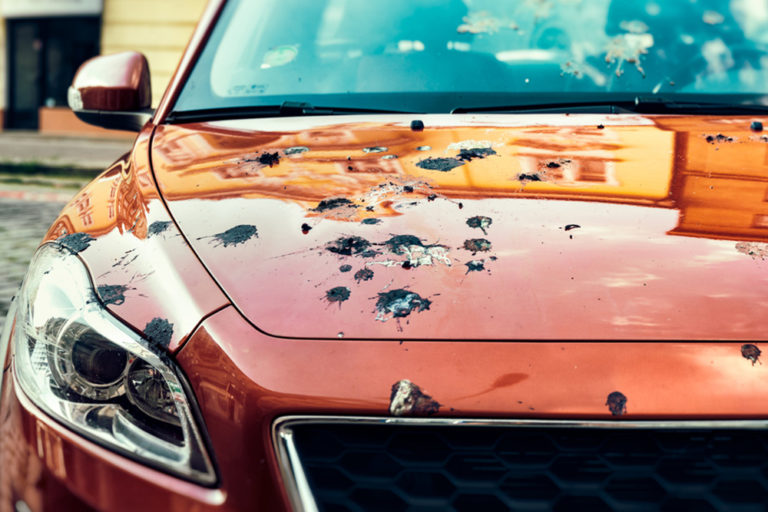 Watch Out for These Common Causes of Car Paint Damage