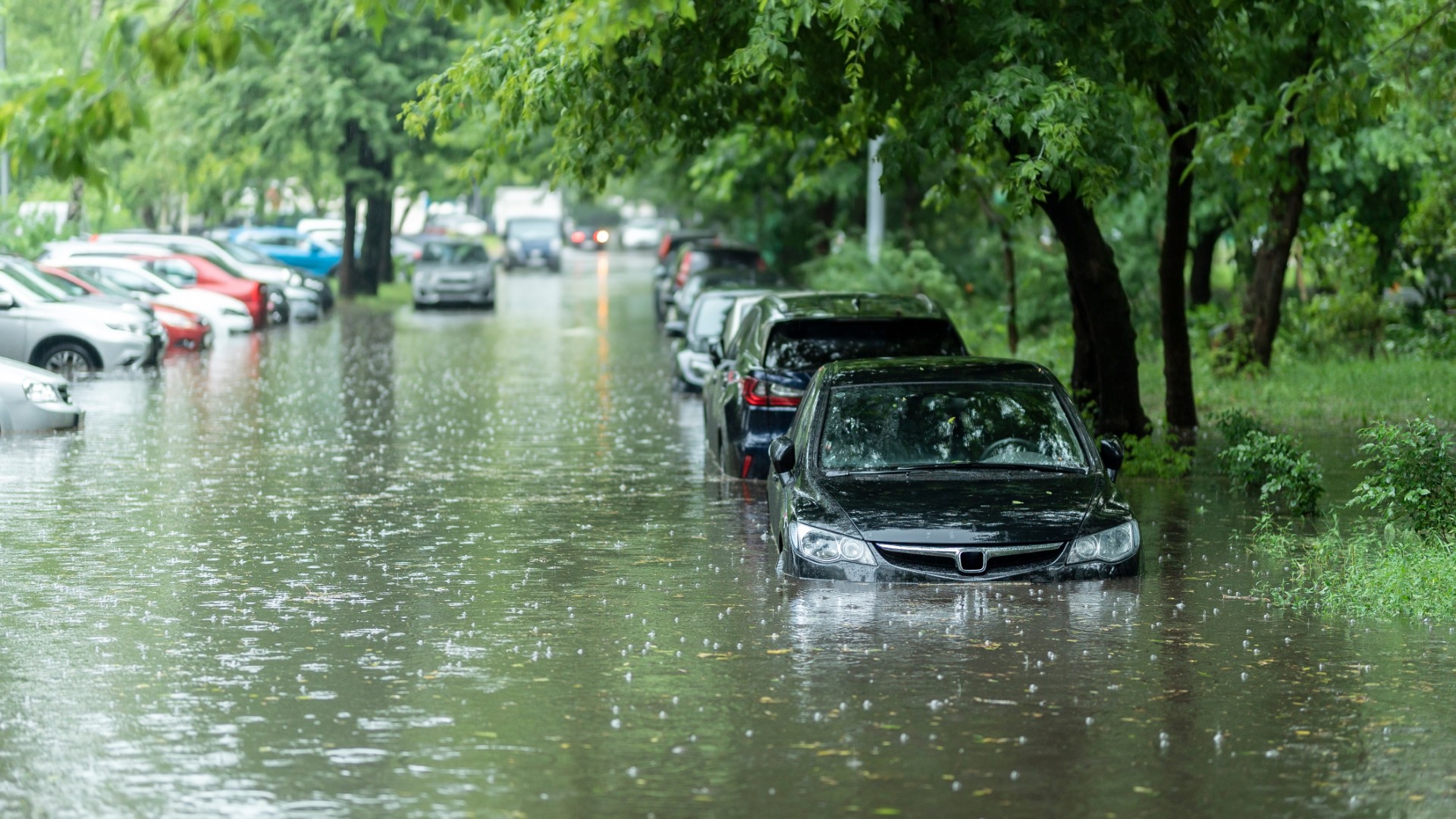 You are currently viewing WHY YOU SHOULD PROTECT YOUR CAR FROM RAINWATER