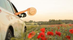 Read more about the article CAR MAINTENANCE TIPS FOR SPRING